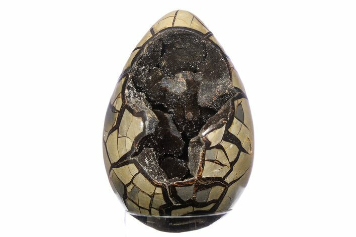 Huge, Septarian Dragon Egg Geode ( lbs!) - Black Crystals #383875